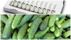 Rezepte für Masken zur Handhautverjüngung